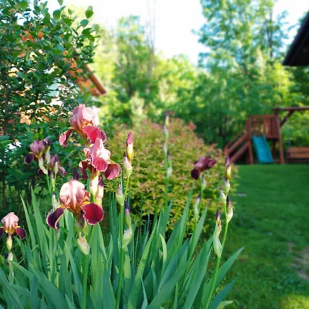 Апартаменты Dom Pod Lipa